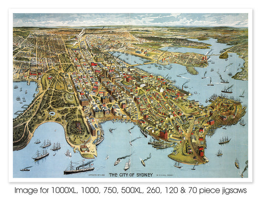 The City of Sydney, 1888